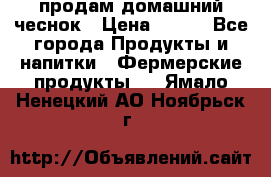 продам домашний чеснок › Цена ­ 100 - Все города Продукты и напитки » Фермерские продукты   . Ямало-Ненецкий АО,Ноябрьск г.